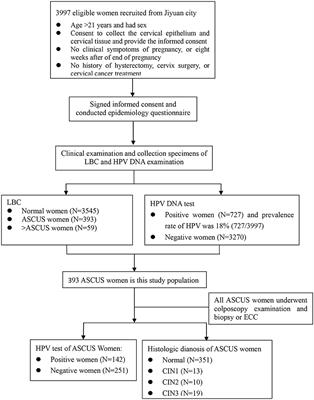 Performance of Different Combination Models of <mark class="highlighted">High-Risk HPV</mark> Genotyping in Triaging Chinese Women With Atypical Squamous Cells of Undetermined Significance